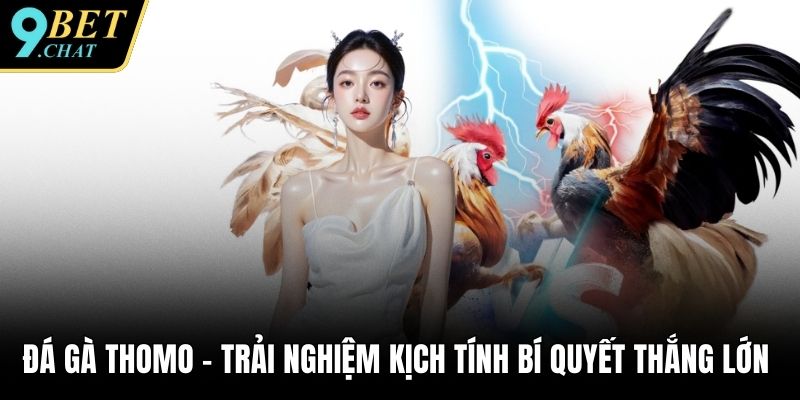 Đá gà Thomo