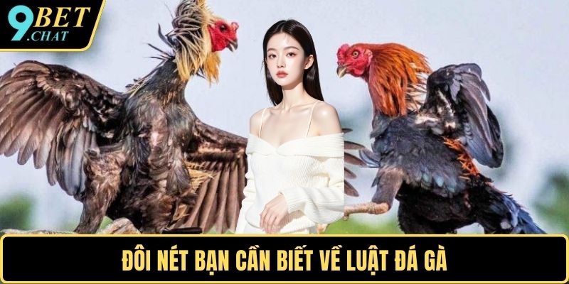 Đôi nét bạn cần biết về luật đá gà