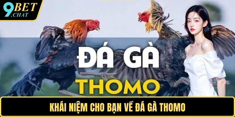 Khái niệm cho bạn về đá gà Thomo