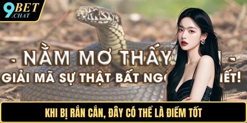 Khi bị rắn cắn, đây có thể là điềm tốt