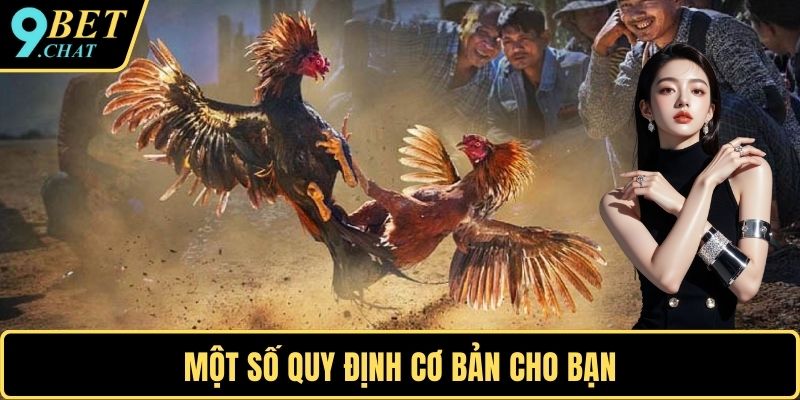 Một số quy định cơ bản cho bạn