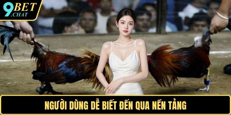 Người dùng dễ biết đến qua nền tảng