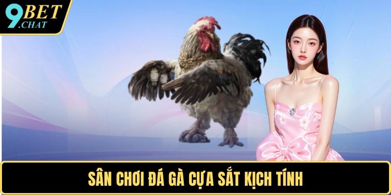 Sân chơi đá gà cựa sắt kịch tính