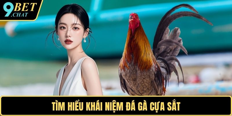 Tìm hiểu khái niệm đá gà cựa sắt