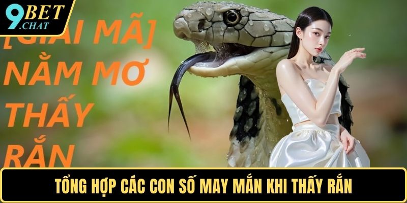 Tổng hợp các con số may mắn khi thấy rắn