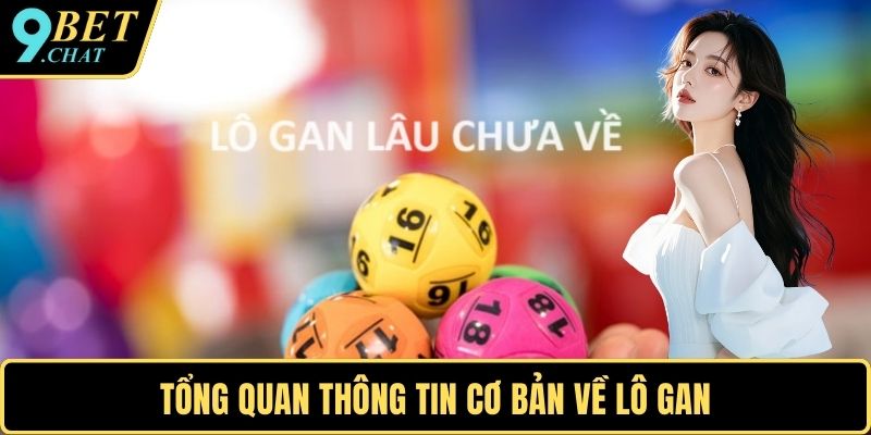 Tổng quan thông tin cơ bản về lô gan