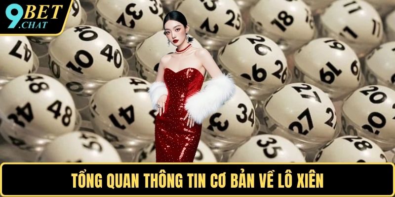 Tổng quan thông tin cơ bản về lô xiên
