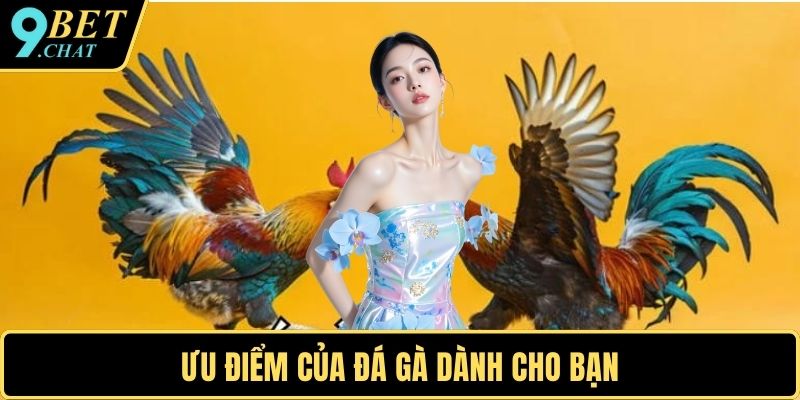 Ưu điểm của đá gà dành cho bạn