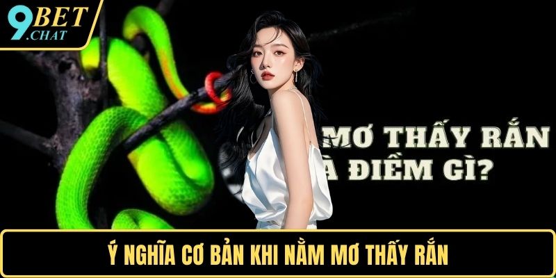 Ý nghĩa cơ bản khi nằm mơ thấy rắn